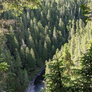 Meet your Posher, Jessie